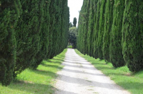 Casale Colleoni, Tivoli
